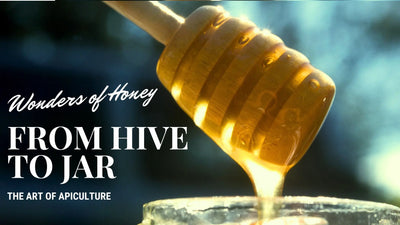 The Wonders of Honey: From Hive to Jar | The Art of Apiculture