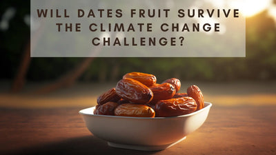 Will Dates Fruit Survive the Climate Change Challenge?