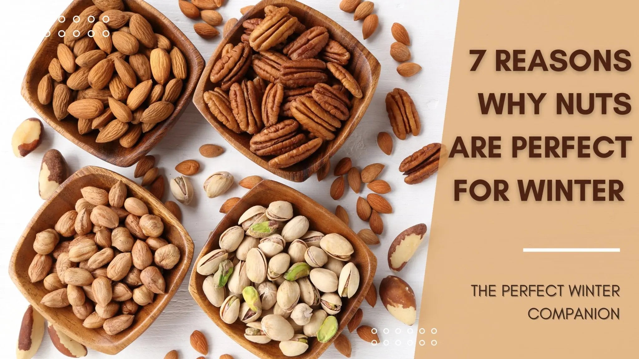 Spring Season Nuts 7 Reasons Why Nuts Are Perfect for Winter – Lion Dates