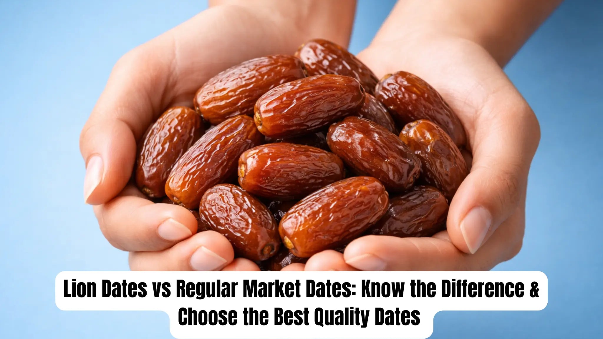 Lion Dates vs Regular Market Dates: Know the Difference & Choose the Best Quality Dates