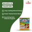 Lion Health Mix  | Health Mix of 19 Ingredients - Lion Dates